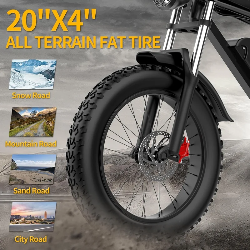 Ridstar Q20Luxe Electric Bike Canada
