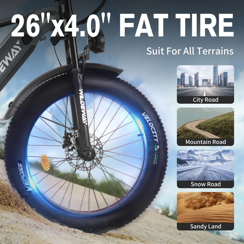 Wildeway Wander Electric Bike Canada