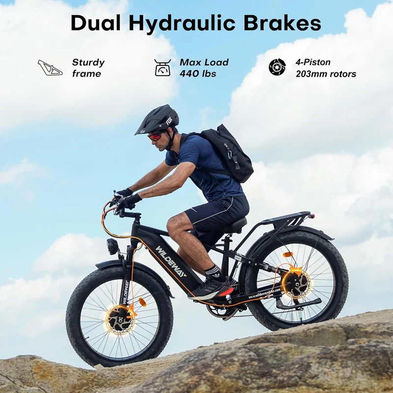 Wildeway Wander Electric Bike Canada