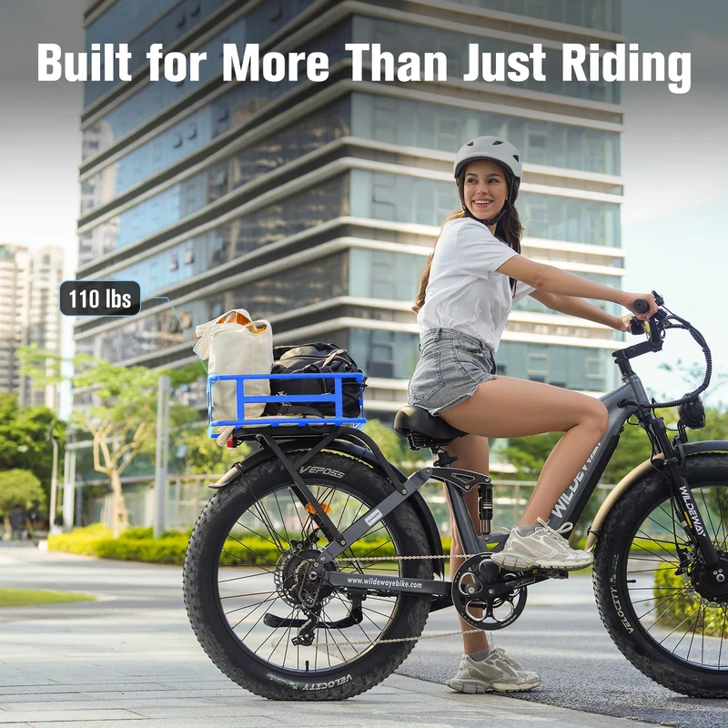 Wildeway Wander Electric Bike Canada