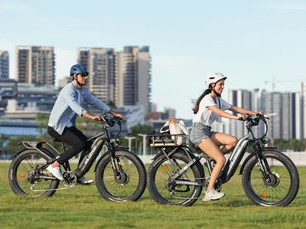 Wildeway Wander Electric Bike Canada