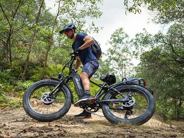 Wildeway Wander Electric Bike Canada