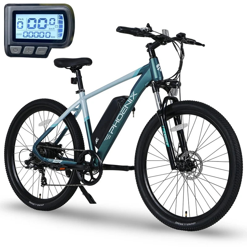ENGWE L20 3.0 Pro Electric Bike Canada