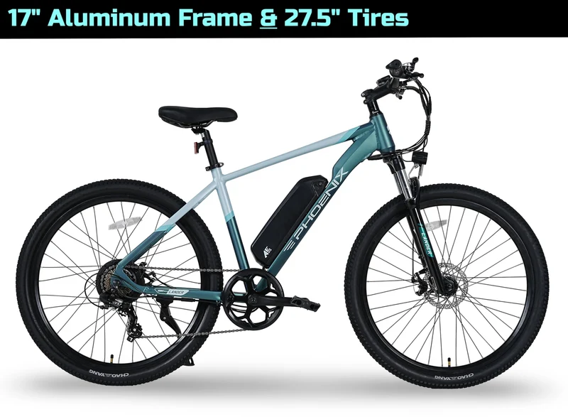 ENGWE L20 3.0 Pro Electric Bike Canada