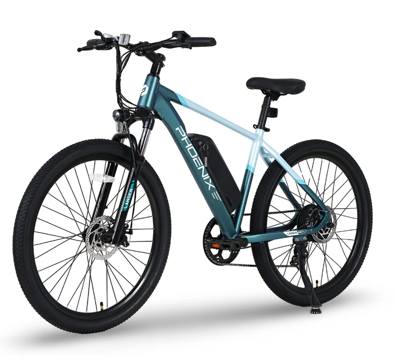 ENGWE L20 3.0 Pro Electric Bike Canada