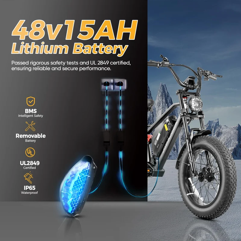 eAhora Terra 1500W Peak E-Bike Canada – Power Unleashed