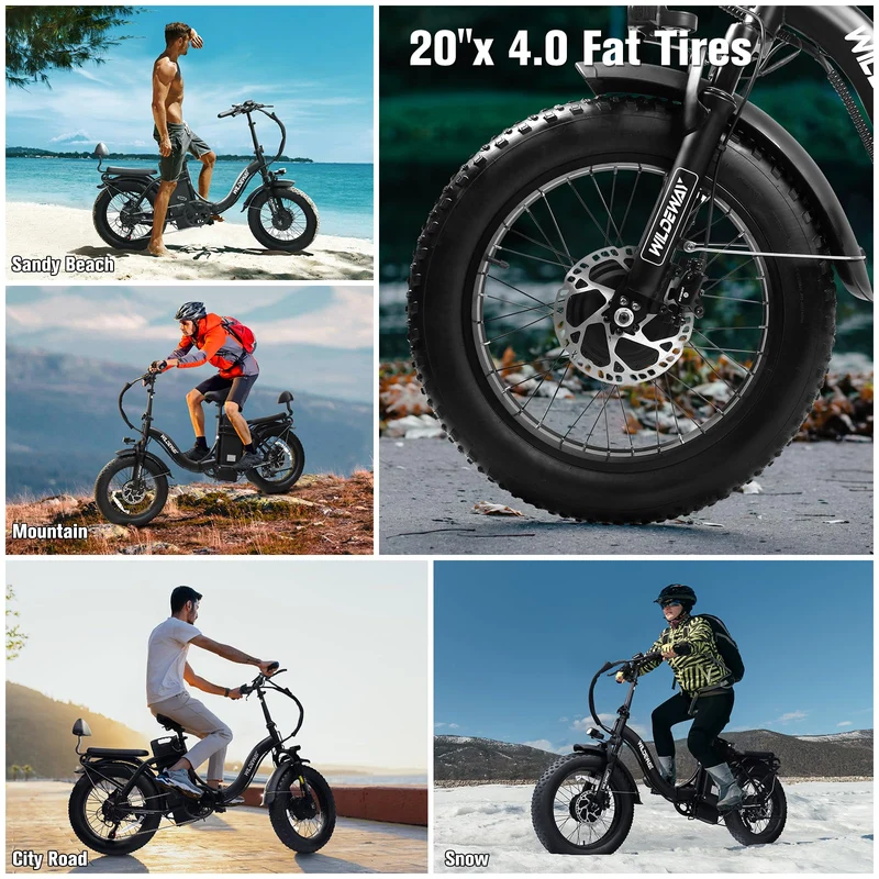 WildWay 2000W Fat Tire Ebike - Canada Adventure