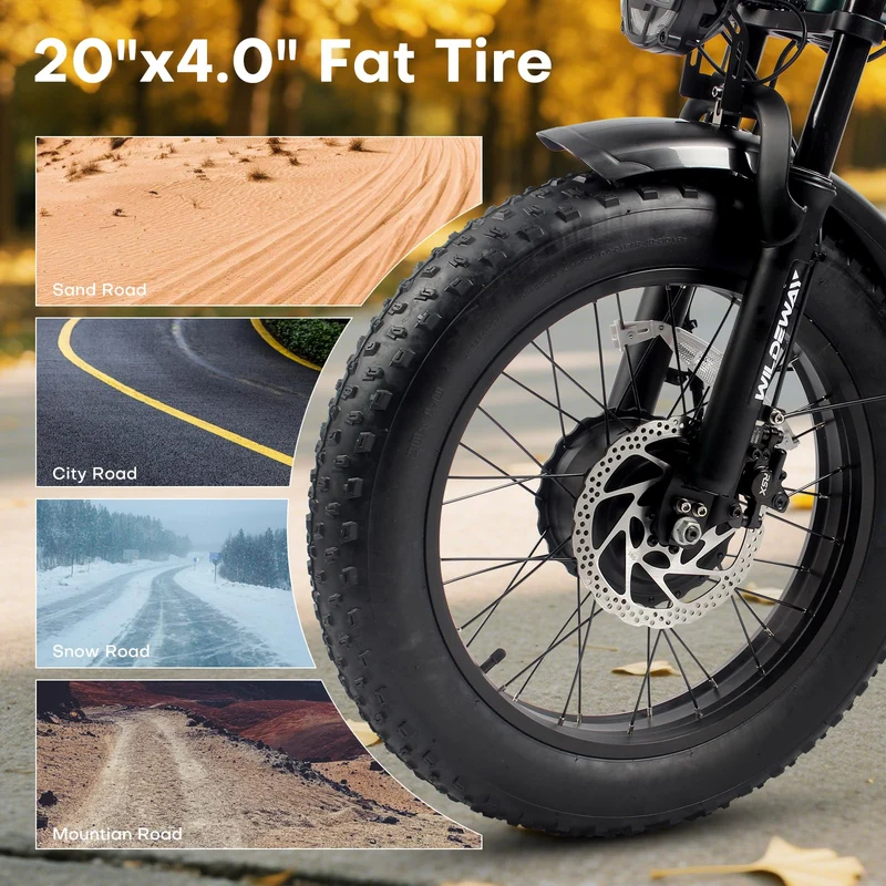 WildWay 2000W Fat Tire Ebike - Canada Adventure