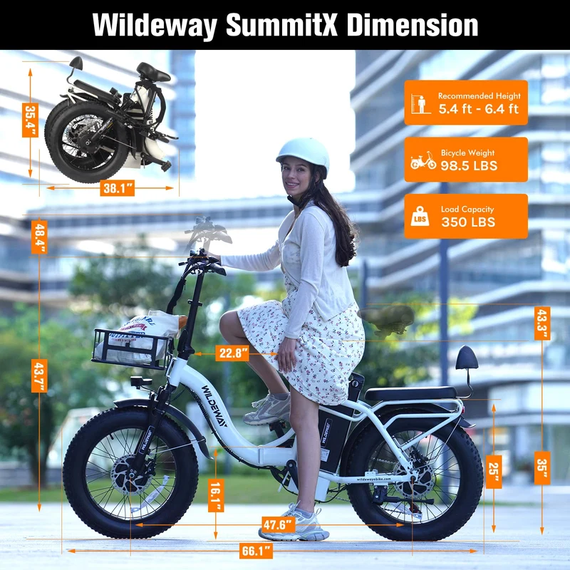 WildWay 2000W Fat Tire Ebike - Canada Adventure