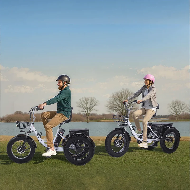 CroSight Folding Electric Tricycle 750W Fat Tire Canada