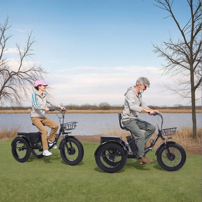 CroSight Folding Electric Tricycle 750W Fat Tire Canada