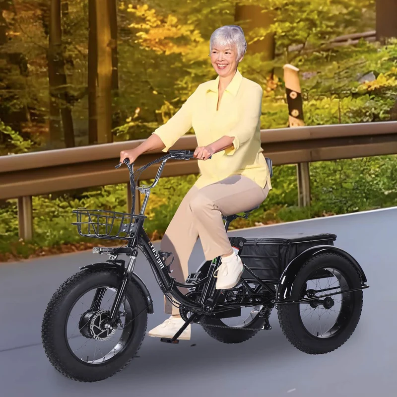 CroSight Folding Electric Tricycle 750W Fat Tire Canada