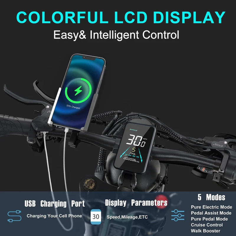 BIGUODIR 2000W Dual Motor Fat Tire E-Bike Canada