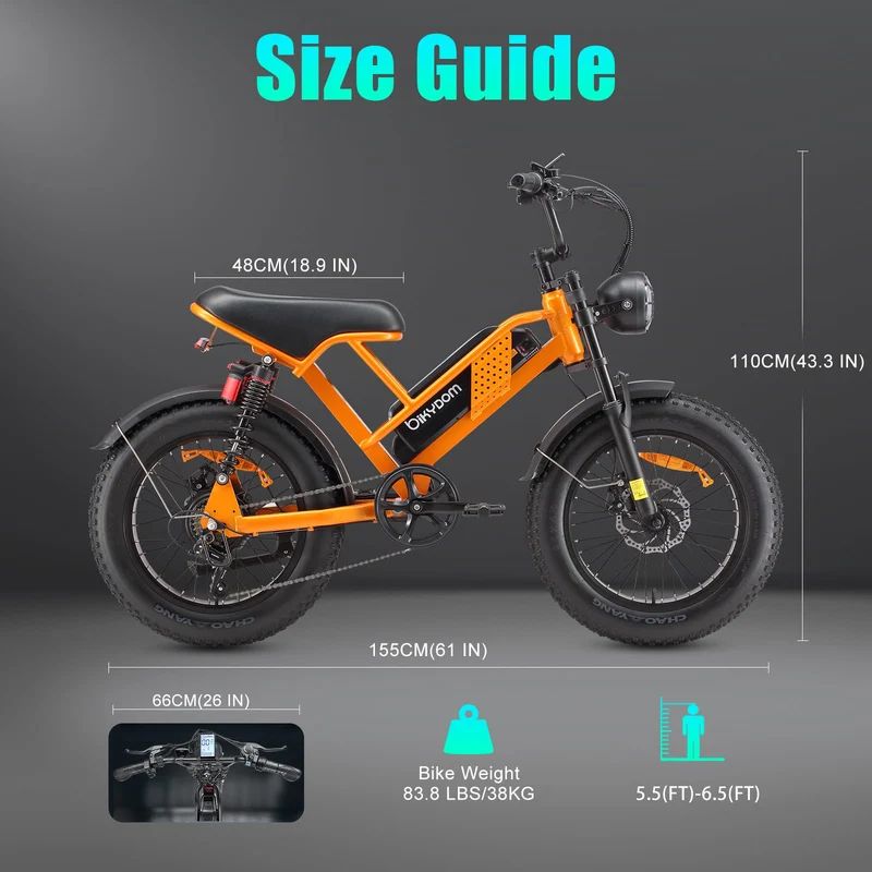 Jiu Haolong Electric Mountain Bike – 1000W All-Terrain E-Bike for Canada
