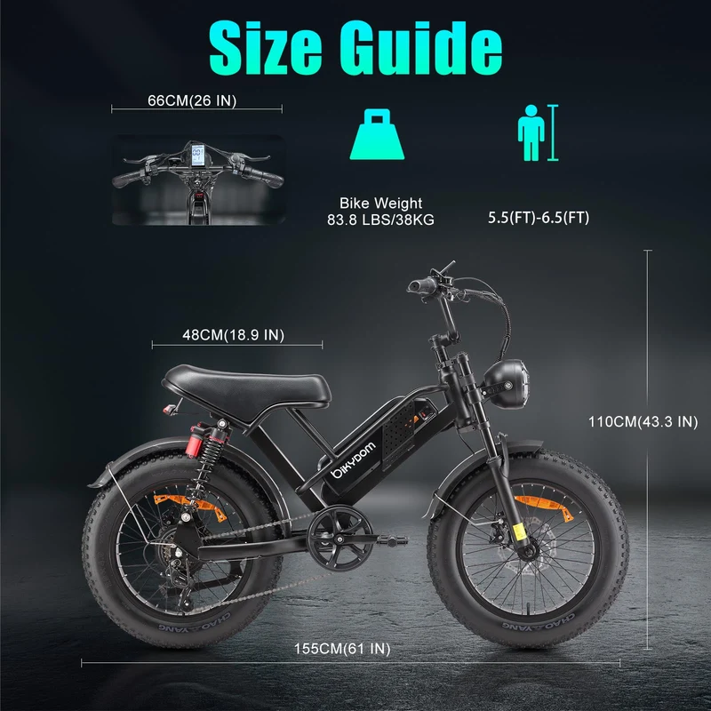 Jiu Haolong Electric Mountain Bike – 1000W All-Terrain E-Bike for Canada