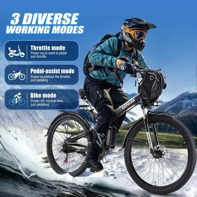 JESRIDER MX300 1000W Folding Electric Bike Canada