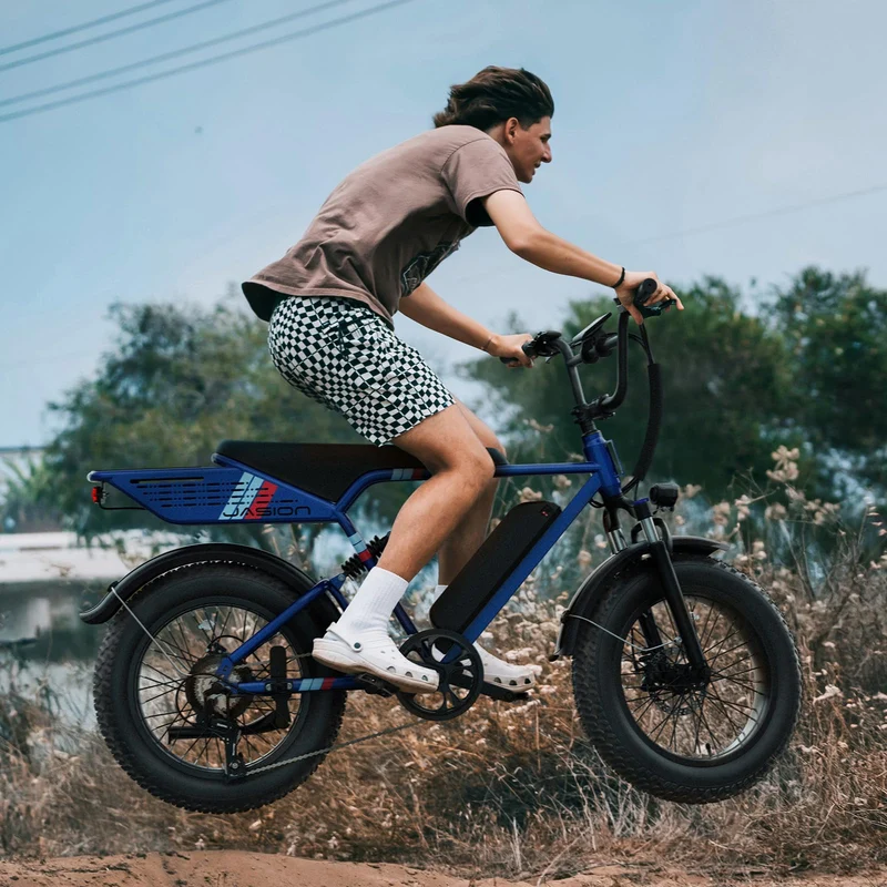 Jasion RetroVolt Electric Bike - Best in Canada