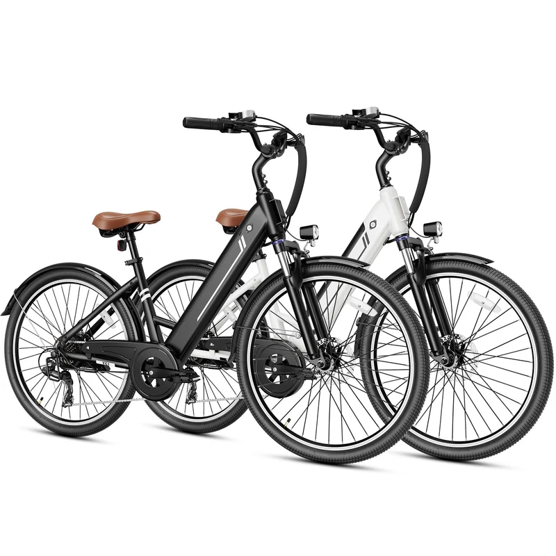 Jasion YC1 ST Electric Bike Canada - Power & Comfort