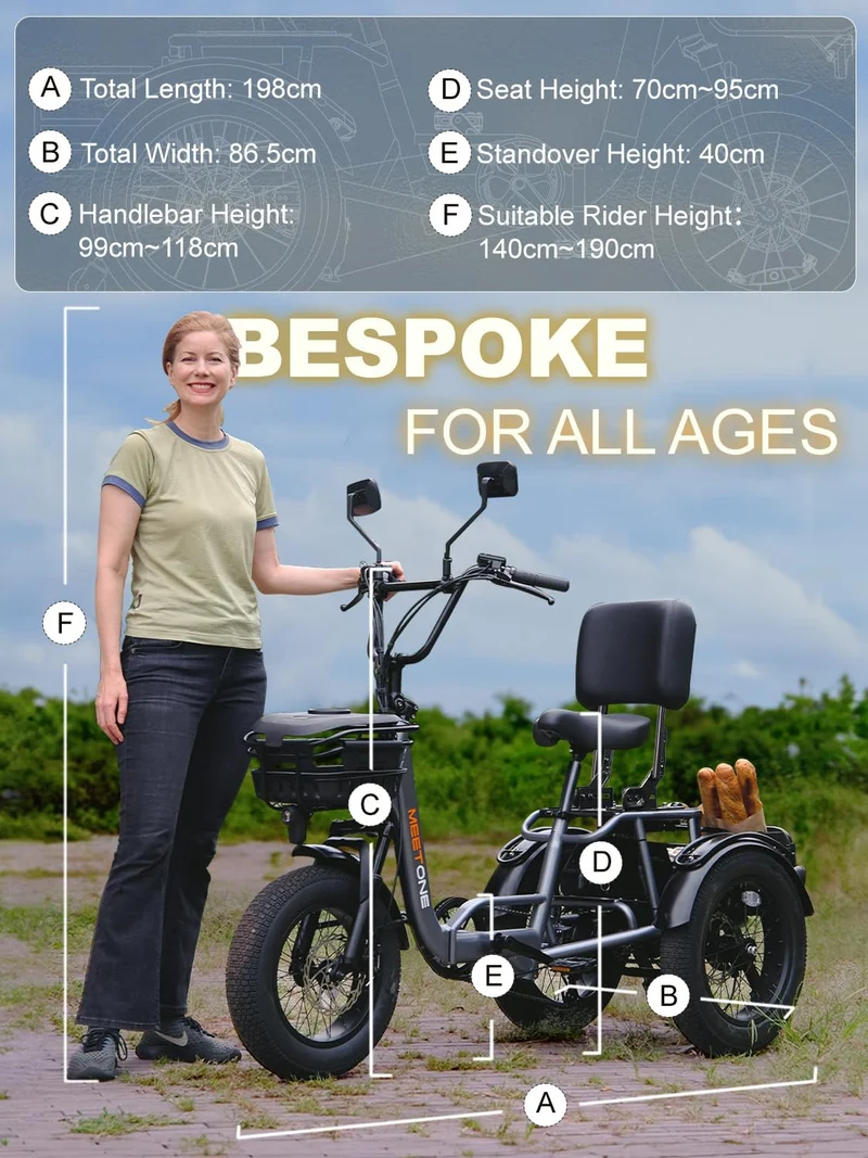 MeetOne Breeze Folding Electric Trike 500W – Canada