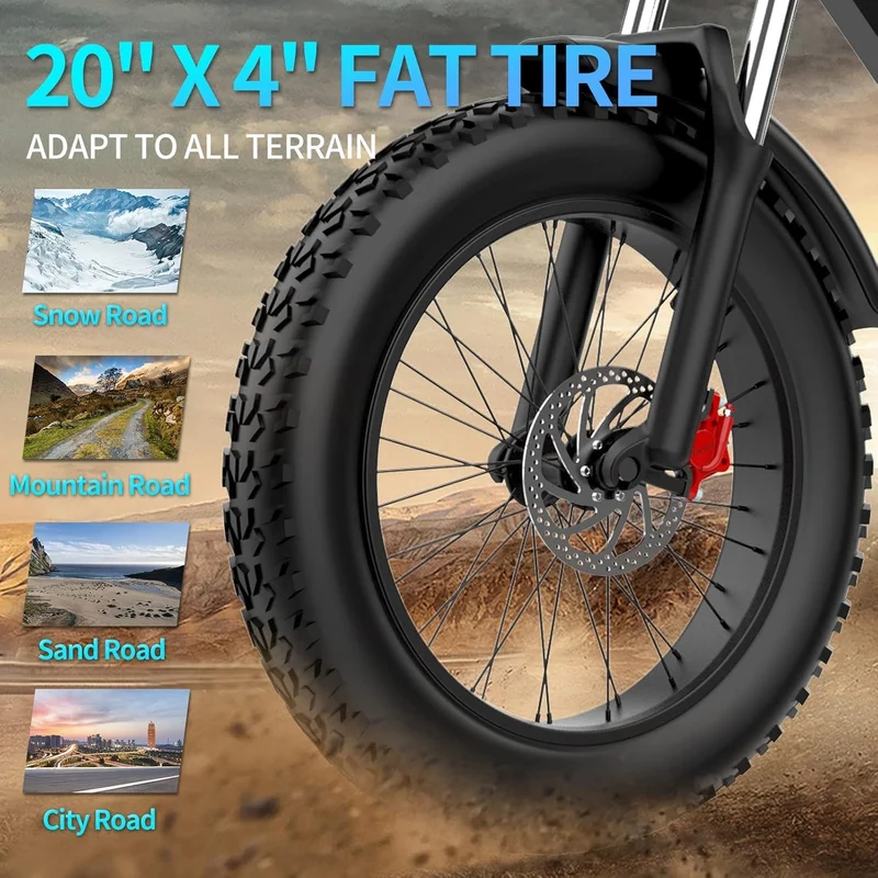 Ridstar Q20 Fat Tire Electric Bike Canada (2026)