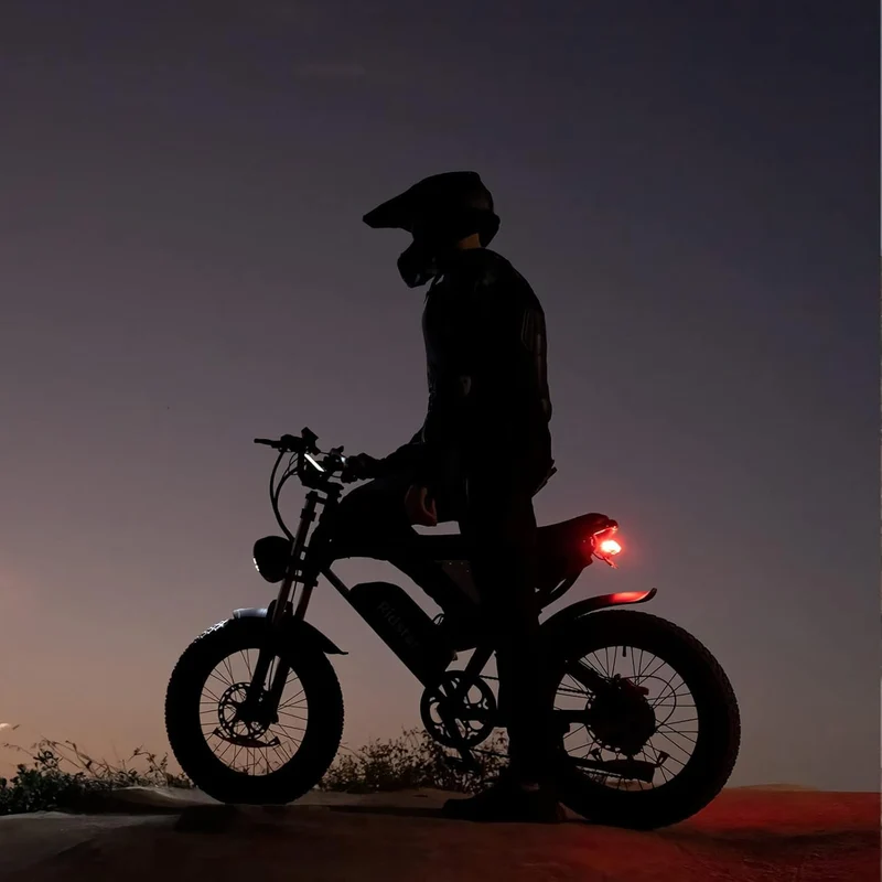 Ridstar Q20 Fat Tire Electric Bike Canada (2026)