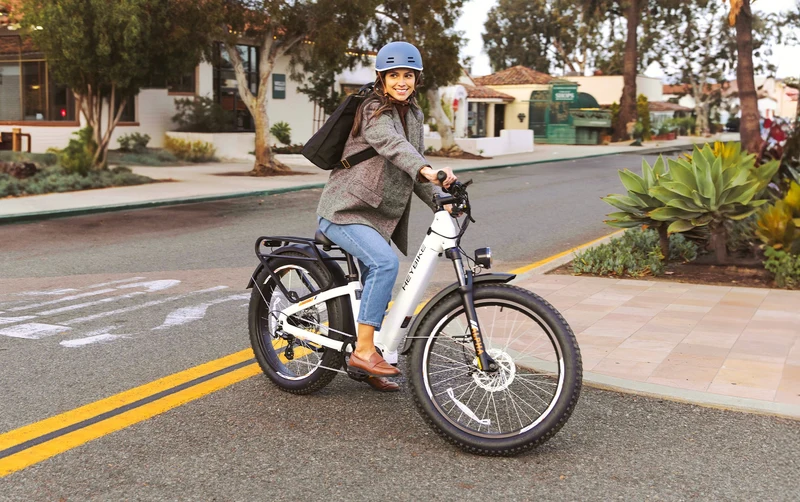 Heybike Alpha Mid-Drive Fat Tire Electric Bike Canada
