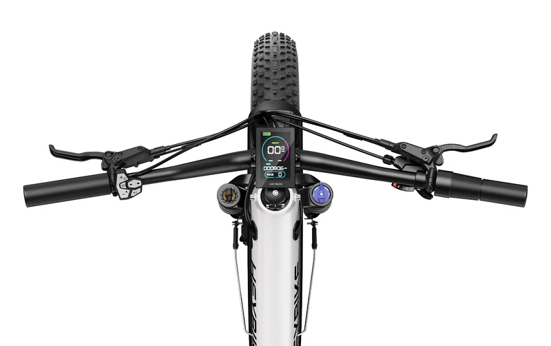 Heybike Alpha Mid-Drive Fat Tire Electric Bike Canada
