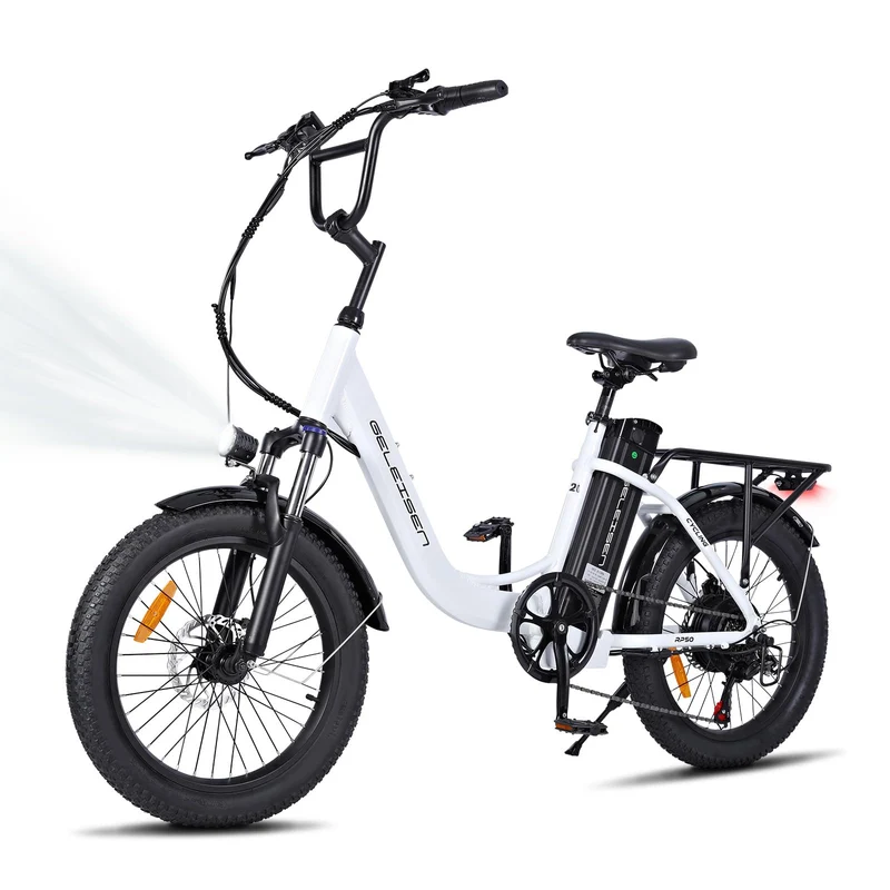 GELEISEN RP50 1000W Fat Tire E-Bike Canada