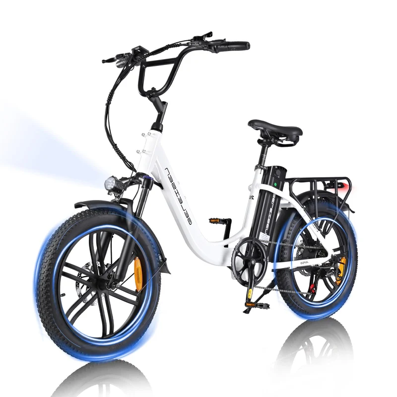 GELEISEN RP50 1000W Fat Tire E-Bike Canada