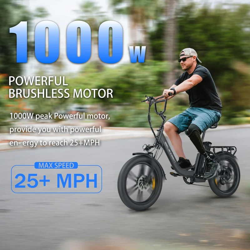 GELEISEN RP50 1000W Fat Tire E-Bike Canada