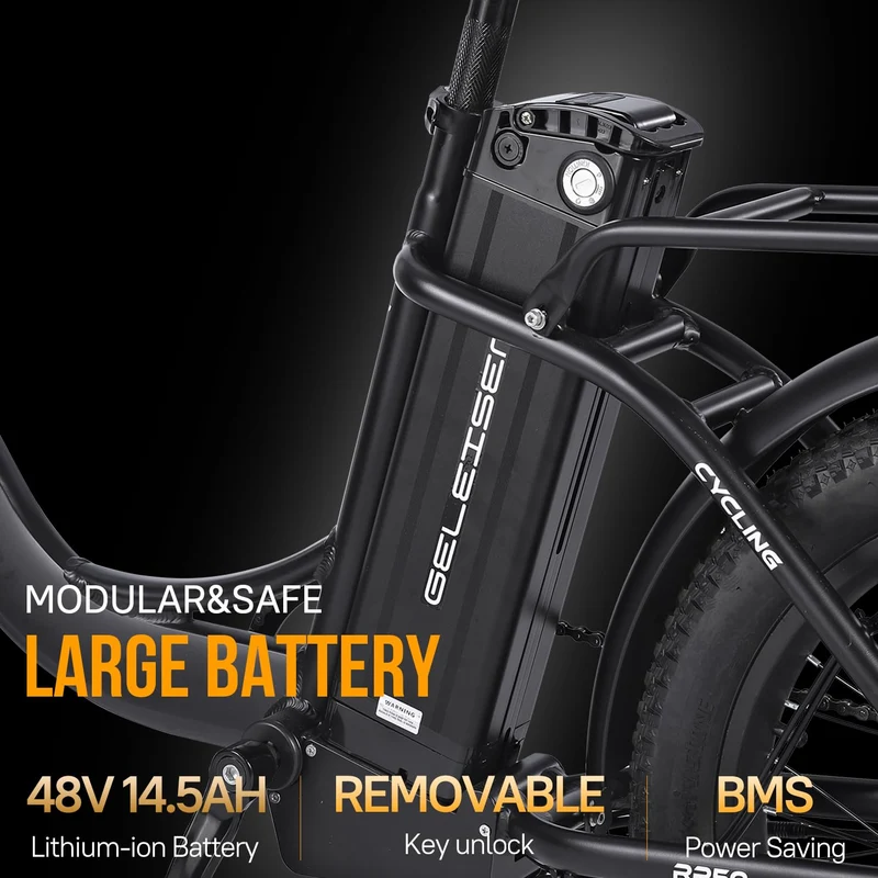 GELEISEN RP50 1000W Fat Tire E-Bike Canada