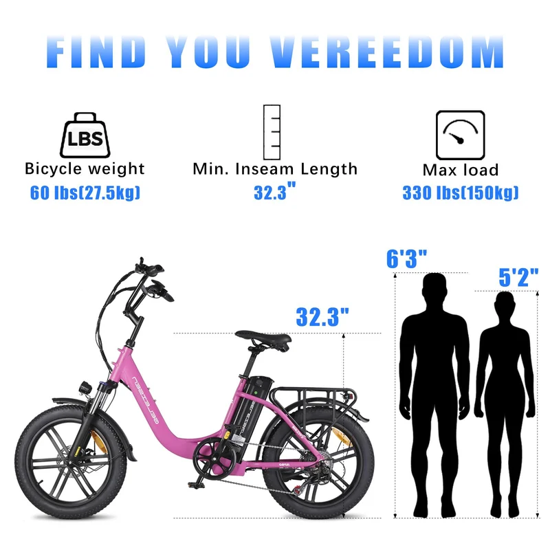 GELEISEN RP50 1000W Fat Tire E-Bike Canada