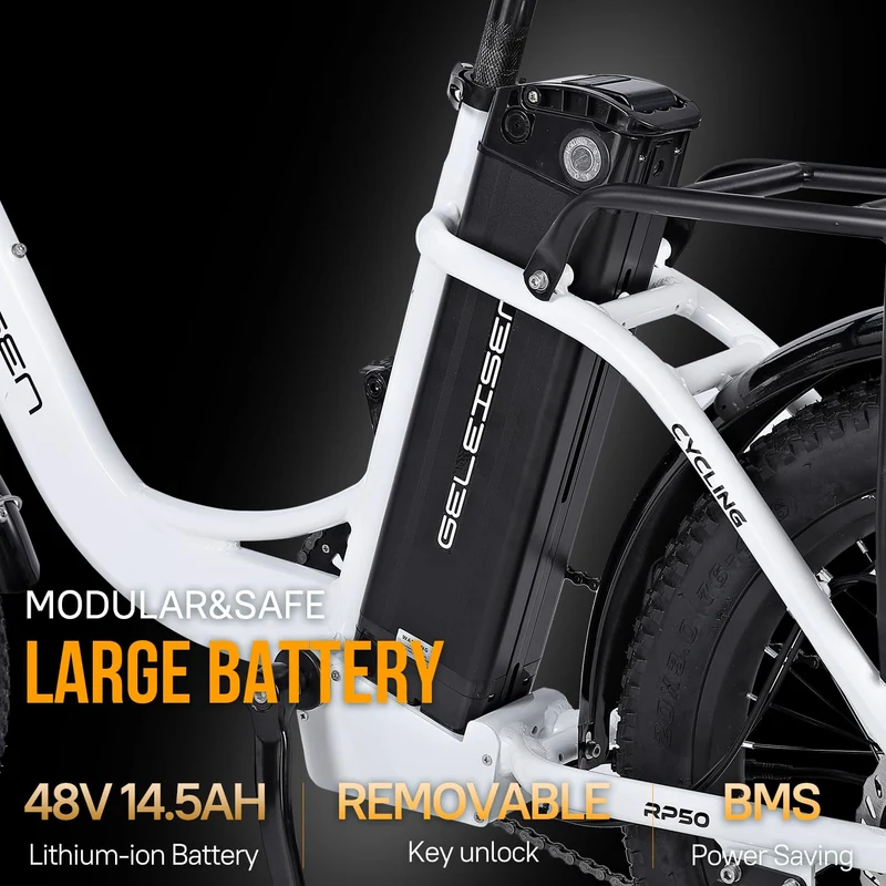 GELEISEN RP50 1000W Fat Tire E-Bike Canada