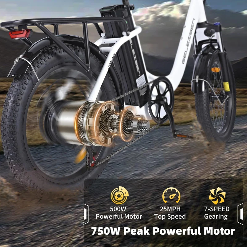 GELEISEN RP50 1000W Fat Tire E-Bike Canada