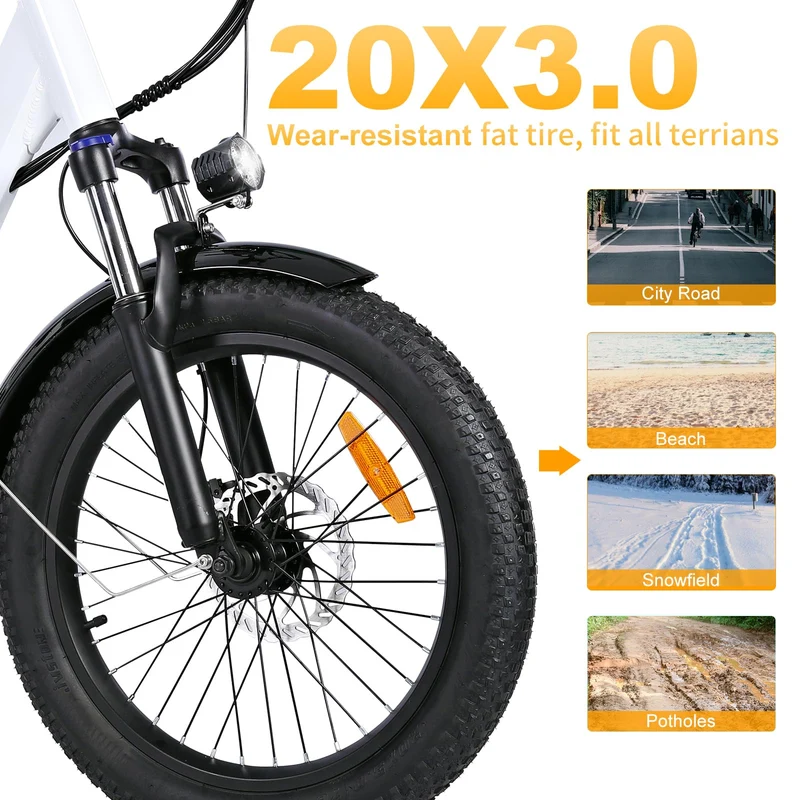GELEISEN RP50 1000W Fat Tire E-Bike Canada