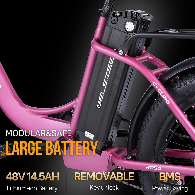 GELEISEN RP50 1000W Fat Tire E-Bike Canada