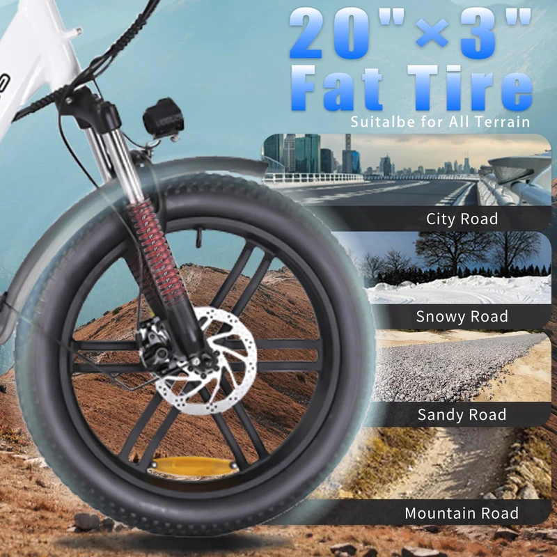 GELEISEN RP50 1000W Fat Tire E-Bike Canada