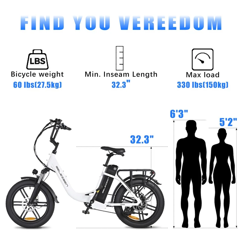 GELEISEN RP50 1000W Fat Tire E-Bike Canada