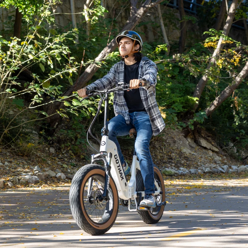 GOTRAX F5 / R6 Foldable Fat Tire Electric Bike Canada
