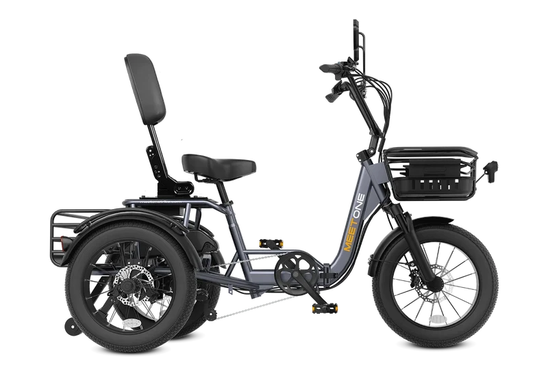 Meet One Breeze Folding Electric Trike 1.0