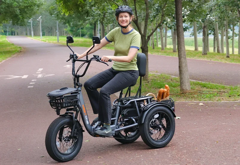 Meet One Breeze Folding Electric Trike 1.0