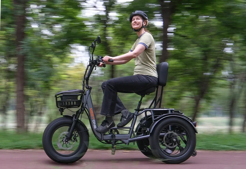 Meet One Breeze Folding Electric Trike 1.0