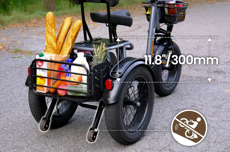 Meet One Breeze Folding Electric Trike 1.0