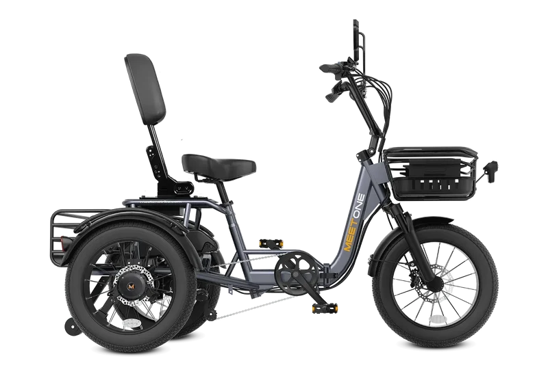 Meet One Breeze Pro Fat Tire Electric Trike 1.0
