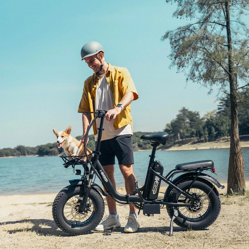 HiKeep D1 Folding Electric Bike 500W – Canada