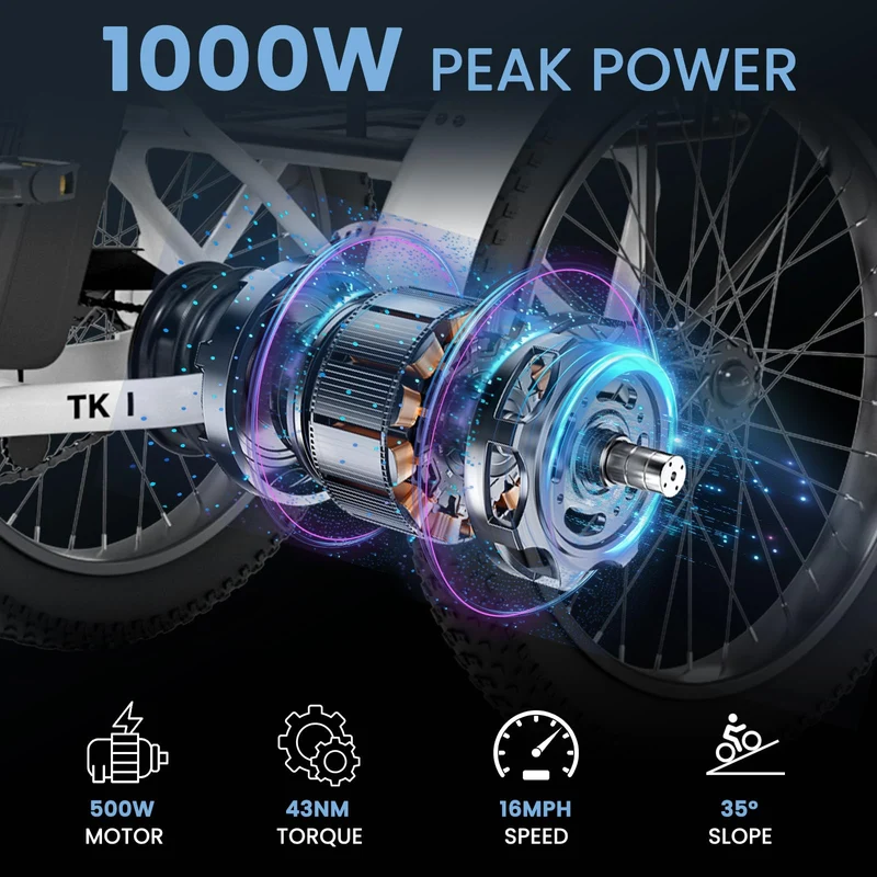 Mooncool TK1 Electric Tricycle - Best in Canada