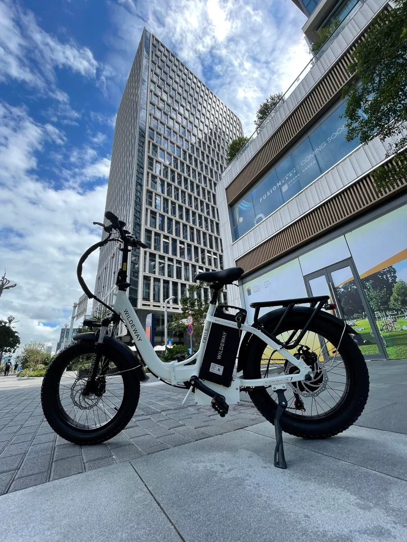 Wildeway FW11 Folding E-Bike (48V 32Ah, Long-Range) — Canada Specs & Legality