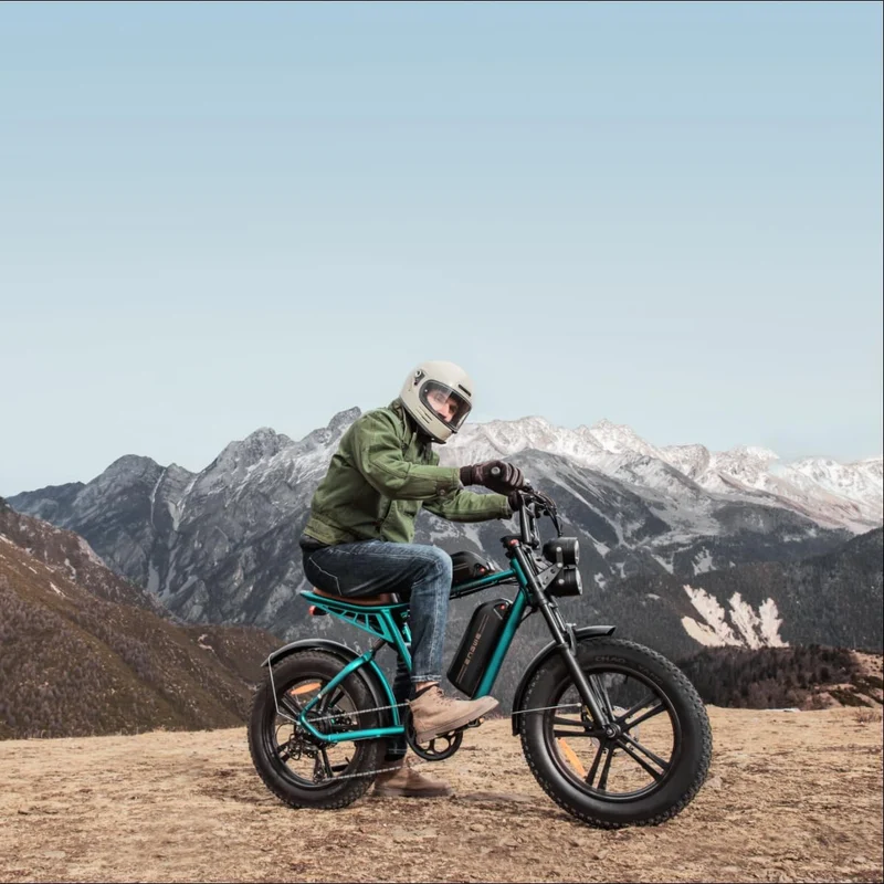 ENGWE M20 Moped-Style Fat Tire Electric Bike Canada