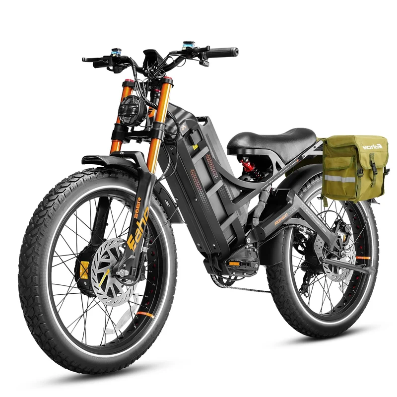 EAhora Romeo Pro III Electric Bike – 5600W, Dual Motor, Canada