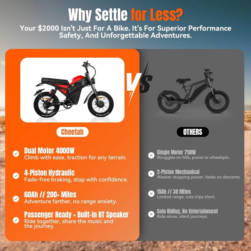 FREESKY Cheetah Fat Tire Electric Bike